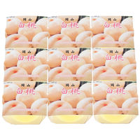 サニーフーズ 岡山白桃シャーベットゼリー 47B-333 1セット（直送品）