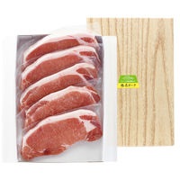 サニーフーズ 榛名ポーク ロースステーキ ARC-010 1セット（直送品）