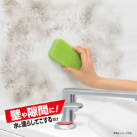 激落ち 黒カビくん カビとります 1個 レック