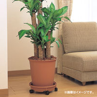 グリーンパル 鉢受け皿 キャスター付き プラスチック ブラウン 350型 1個