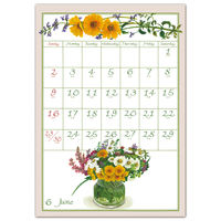 フロンティア 2024年壁掛けカレンダー　橋本不二子　書き込み　L CAL-126 2冊（直送品）