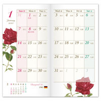 フロンティア 2024年ダイアリー クラシックローズ 紫 SS DY-098 5冊（直送品）