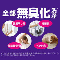 【アウトレット】トップスーパーナノックス（NANOX） ニオイ専用　洗濯洗剤　濃縮　液体　業務用　詰め替え BIB10kg　1個　ライオン