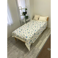 日繊商工 ４重ガーゼの今治製タオルケット「ゆらぎ：ブルー」 131130B 1箱(30枚入)（直送品）