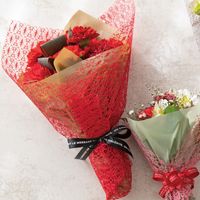 ヘッズ 無地PEロール-5/クラフト MPE-RO5 1巻