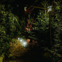 トレードワン ソーラーガーデングラスライト クリスタルタイプ 30533 1個