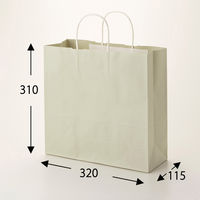 シモジマ 25チャームバッグ 3才 グレー無地 003254300 1袋(50枚)