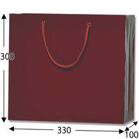 シモジマ ブライトバッグ GM エンジ 006137902 1袋(10枚)