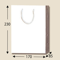 シモジマ ブライトバッグ T-3 白 006143106 1袋（10枚）