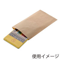 シモジマ 柄小袋 B型 未晒無地 006536401 1袋(100枚)