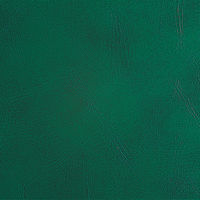 ナカバヤシ 証書ファイルレザー B4 緑 FSL-B4G 1冊