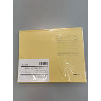 FAMS 個別フォルダー薄型A4ーIFN20冊入 219027 1パック