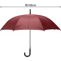 杉本商事 60cm男女兼用長傘 無地 SS2009RD 1本