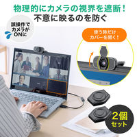 サンワサプライ ダイレクト:WEBカメラカバー(小:2個入り) 200-SL092 1個（直送品）