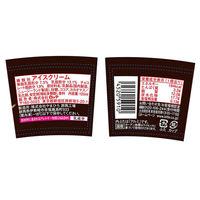 ロッテ [アイス] ロッテ レディーボーデン ミニカップ チョコレート 120ml×36個 45205910（直送品）