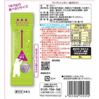 井村屋（株） 井村屋 ワンプッシュゼリー塩ぷるウメ 90g(15g×6本)×16個 4901006125314（直送品）