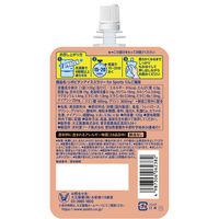 大正製薬（株） リポビタンアイススラリー Sports りんご風味 120g×6個 4987306062382（直送品）