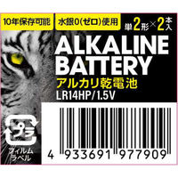 伊藤忠リーテイルリンク（株） アルカリ乾電池レギュラー　単2　2P 日用品 ノンフード×3個 4933691977909 ２P×3個（直送品）