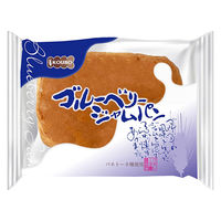 【ワゴンセール】KOUBO ブルーベリージャムパン 1セット（2個入）パネックス ロングライフパン