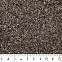 ＥＢＩ　ＴＥＮＧＵ ＥＢＩＴＥＮＧＵ　エビテング　天狗の砂　２Ｌ　スラウェシシュリンプの砂 287255 1袋（直送品）