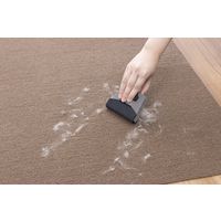 サンコー ペット 毛取り 1個 AA-44 そうじ 掃除 抜け毛  換毛期 カーペット タイルマット  ペットパッケージ（直送品）