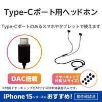 イヤホン タイプC マイク付き カナル型 耳せんタイプ 有線 ブラック EHP-DF11CMBK エレコム 1個（直送品）