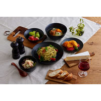 アイリスオーヤマ 食器 5点セット ブラック MNW-5S 1セット(5個入)