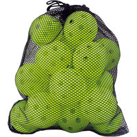 サクライ貿易 野球 ソフトボール バッティング上達練習球 HTB20 1セット(20個入)