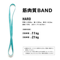 サクライ貿易 トレーニング器具 筋肉質バンド ペールブルー 54155 1セット(1個入)（直送品）