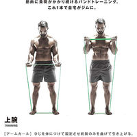 SAKURAI（サクライ） トレーニング器具 筋肉質バンド グリーン 54166 1セット(1個入)（直送品）