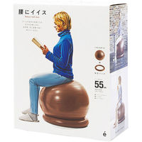 サクライ貿易 トレーニング器具 腰にイイス ブラウン 54145 1セット(1個入)