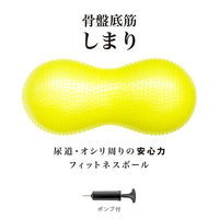 SAKURAI（サクライ） トレーニング器具 骨盤底筋しまり 54174 1セット(1個入×2)（直送品）