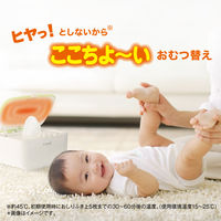 クイックウォーマーコンパクト ミルキーグリーン（GR）1個 コンビ