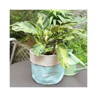 杉田エース Borgo Delle Tovaglieブレッドバスケット ライトブルー&ライトベージュ CXI955511 1枚（直送品）