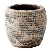 杉田エース SERAXレプタイルポット D12.5 H12 CWW694708 1個（直送品）