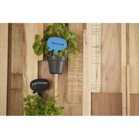 杉田エース XALAXALA TALK オレンジ CWZ954371 1個（直送品）