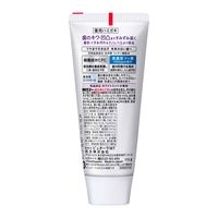 薬用ピュオーラ 歯磨き粉 美白ケア ハミガキ 115g 1本 花王