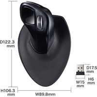 サンワサプライ ワイヤレスエルゴノミクススティックマウス MA-ERGW19 1個（直送品）