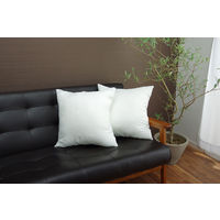 イケヒコ・コーポレーション ヌード セアテ 約45×45cm (2枚組) 9507820 1セット(2枚組)