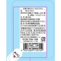和菓子屋のきんつばようかん 8個 井村屋 羊羹