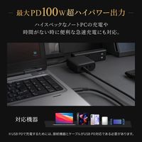 USB充電器 100W出力 PD対応 Type-C×3ポート GaN採用 AC充電器 ブラック 1個 オウルテック