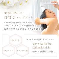 ホットタブ シャワー 重炭酸入浴剤 10回分 1パック（30錠入：1回3錠）医薬部外品 ホットアルバム炭酸泉タブレット