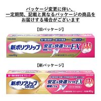 【入れ歯安定剤】 新ポリグリッププレミアム 安定＆快適フィットEX 40g 部分・総入れ歯安定剤 1本 Haleon