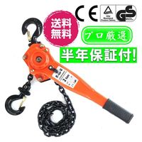 ベストアンサー レバーホイスト2t ba036-12 1台（直送品）