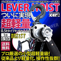 ベストアンサー レバーホイスト 0.5t VM 4台セット lh-005-4p 1セット(4台入)（直送品）