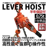 レバーホイスト 0.75ton 003 1台