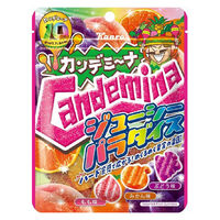 カンデミーナグミジューシーパラダイス 72g 6袋 カンロ グミ
