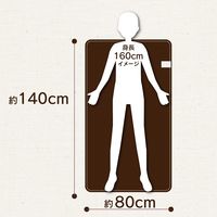 電響社 電気敷毛布 ブラウン DM-Y13FSN-BR 1点