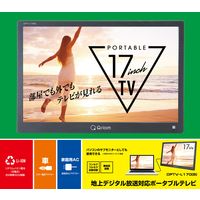 YAMAZEN 地上デジタル放送対応 ポータブルテレビ 17インチ 3電源対応 DPTV-L170(B) 1台