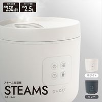 QUADS スチーム加湿器2.5L 連続加湿 ホワイト QS328WH 1台（直送品）
